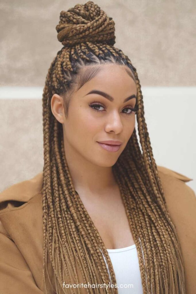 Half-Up, Half-Down Box Braids