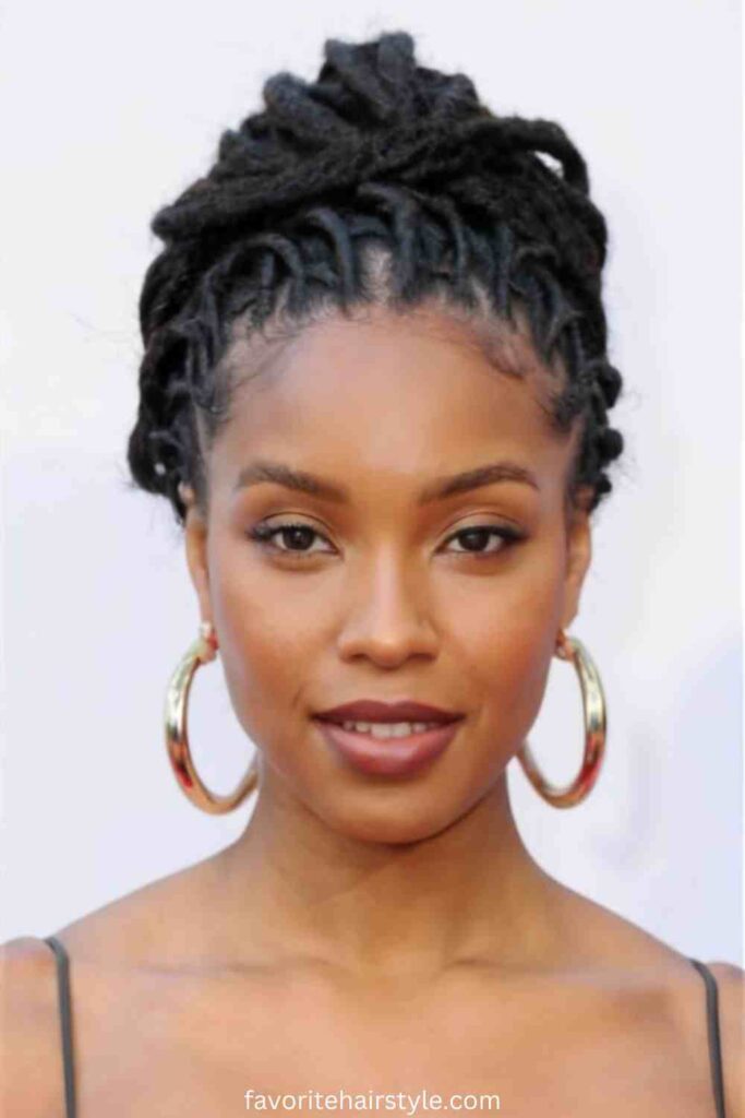 Locs in a Low Chignon