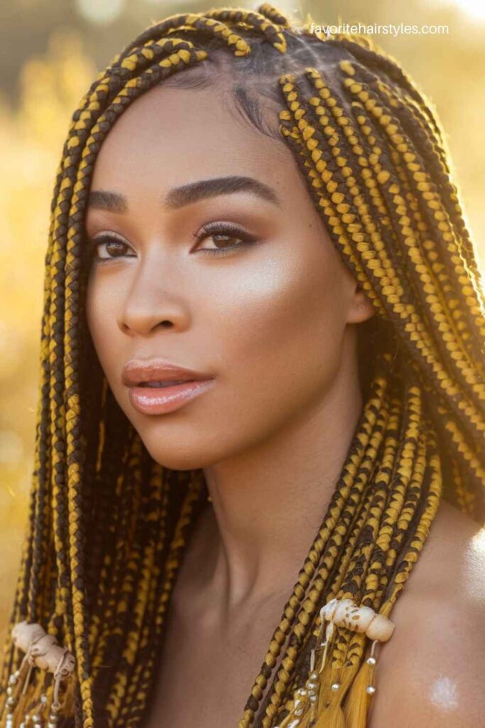 Goddess Lemon Fulani Braids